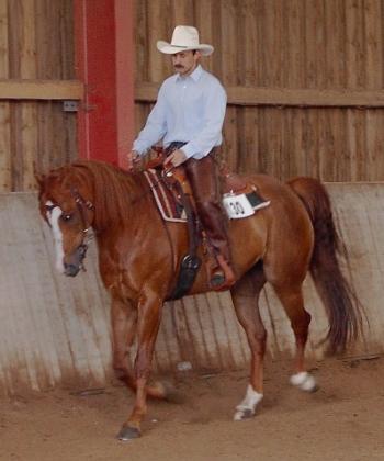 JimBob July2002- on his first western show with his trainer!!
