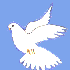 dove1.gif